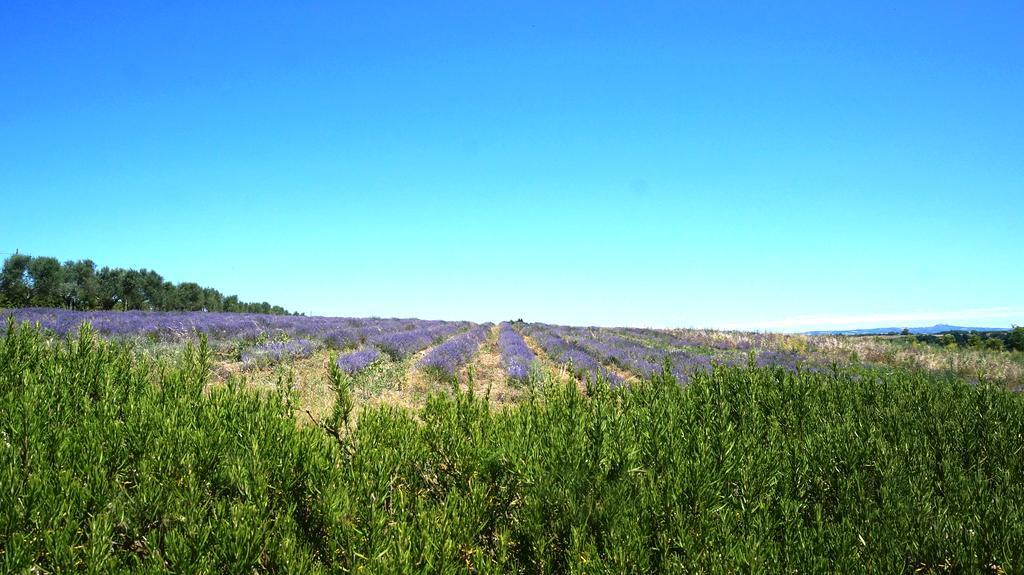 Agriturismo San Giusto Hotel Tuscania Luaran gambar